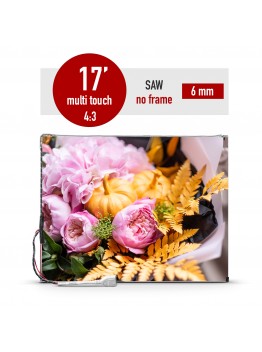 i-Touch SAW touch panel touch screen no frame 6 mm 17 inch